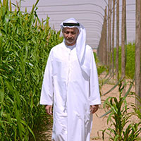 Saasdaari farm — daily farm work